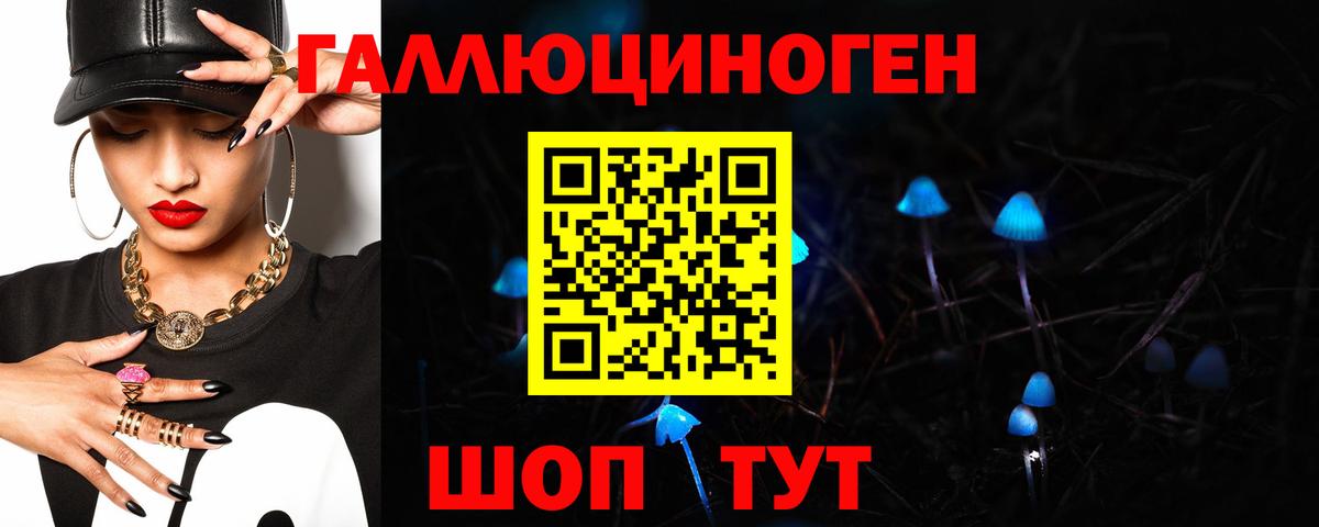 Губаха  Галлюциногенные грибы MAGIC MUSHROOMS  продажа наркотиков  Вход с VPN  Псилоцибиновые грибы Magic Shrooms 